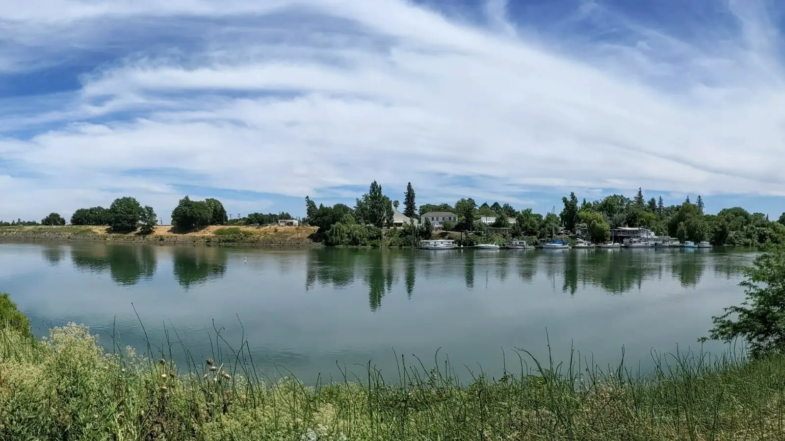 Wide view of the Sacramento River at Courtland, with houseboats along the far bank under a sky of high clouds, seen from the grassy levee.