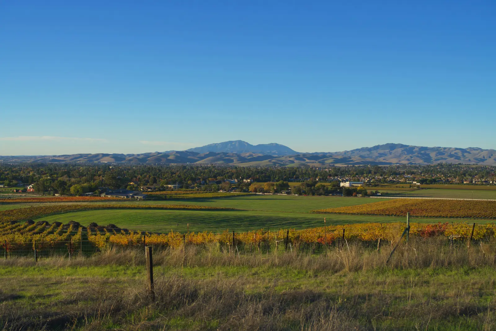 Autumn-colored vineyard blocks and green fields spread across the Livermore Valley below a long ridge of brown hills and a clear blue sky.