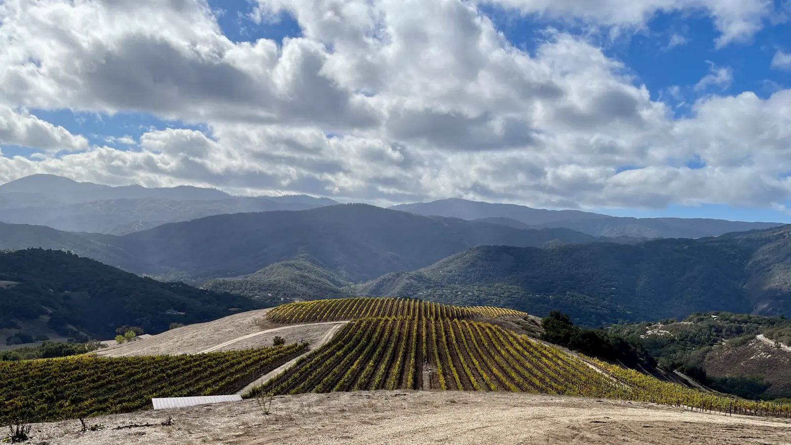 Autumn-gold vineyard rows on a hilltop in Carmel Valley, with layered Santa Lucia mountain ridges under a cloudy blue sky.