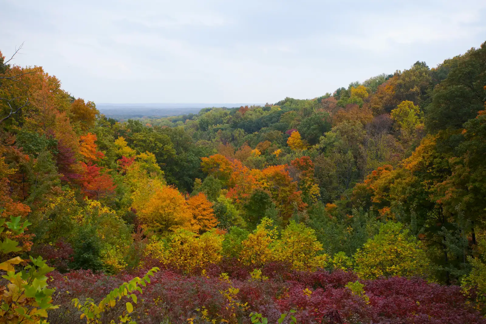 Autumn colors over the forested Brown County hills seen from Hesitation Point in Brown County State Park, Indiana.