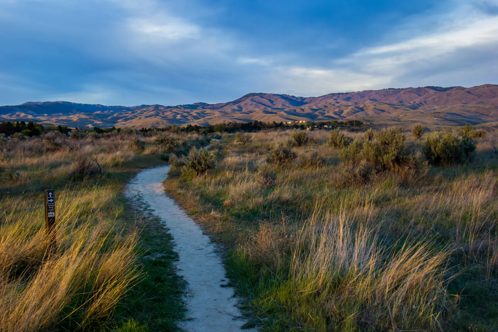 A narrow dirt path winds through sagebrush and golden grass toward the sunlit Boise Foothills in southwestern Idaho in evening light.