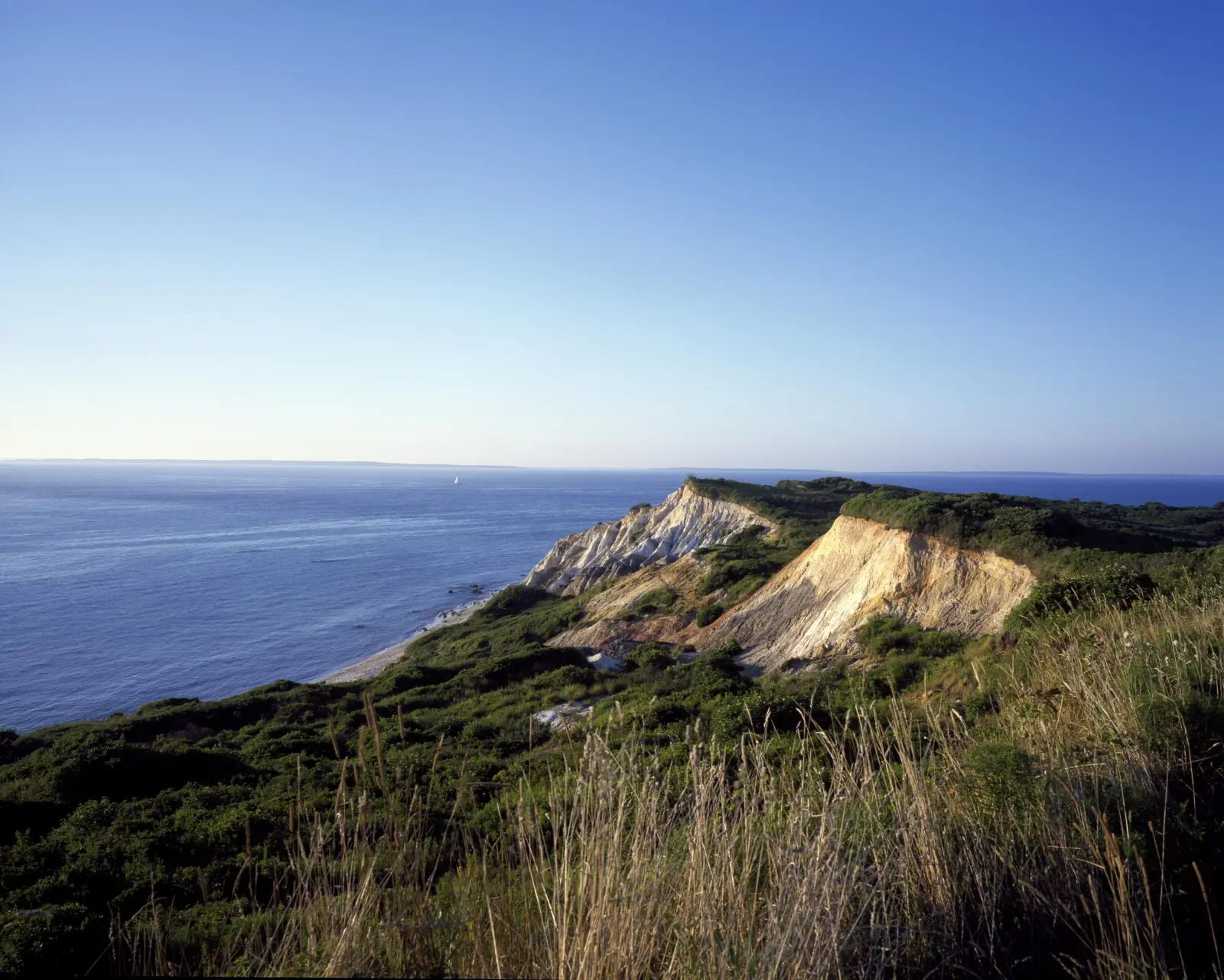 Multicolored clay cliffs and tall grass above the blue water at Gay Head on Martha's Vineyard, Massachusetts.