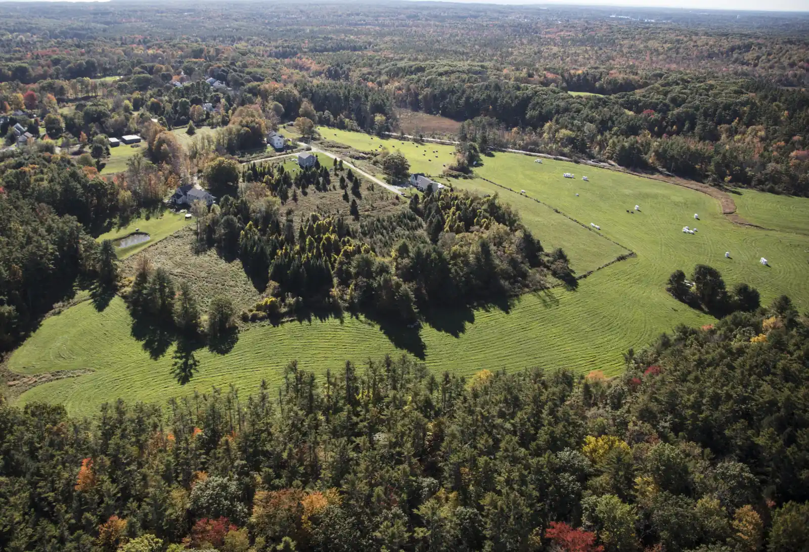 Aerial view of green mown farm fields with hay bales, farmhouses and autumn foliage in southern Maine near York.