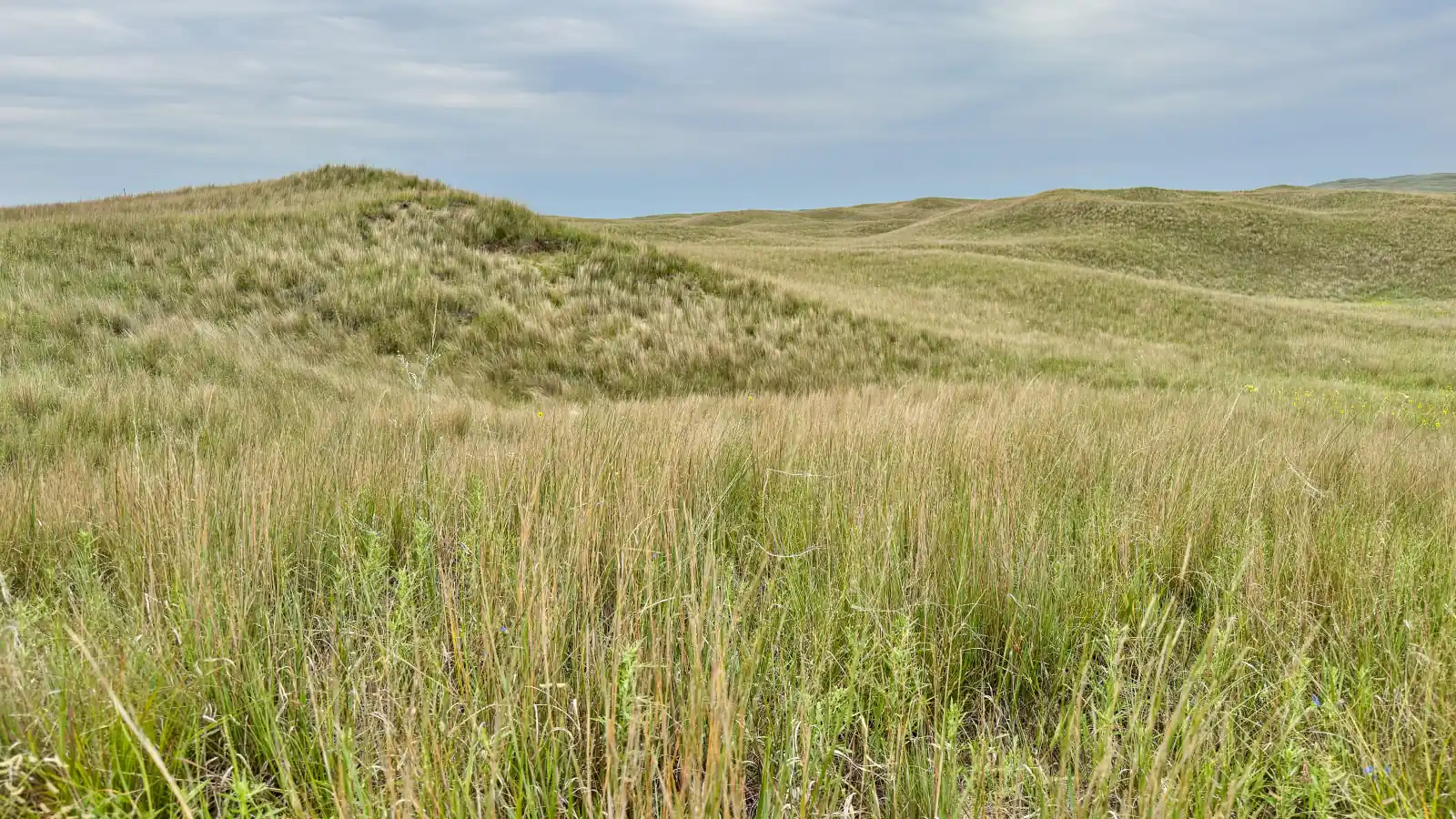 Rolling grass-covered dunes of the Sand Hills stretch to the horizon under a cloudy sky near Seneca, Nebraska.