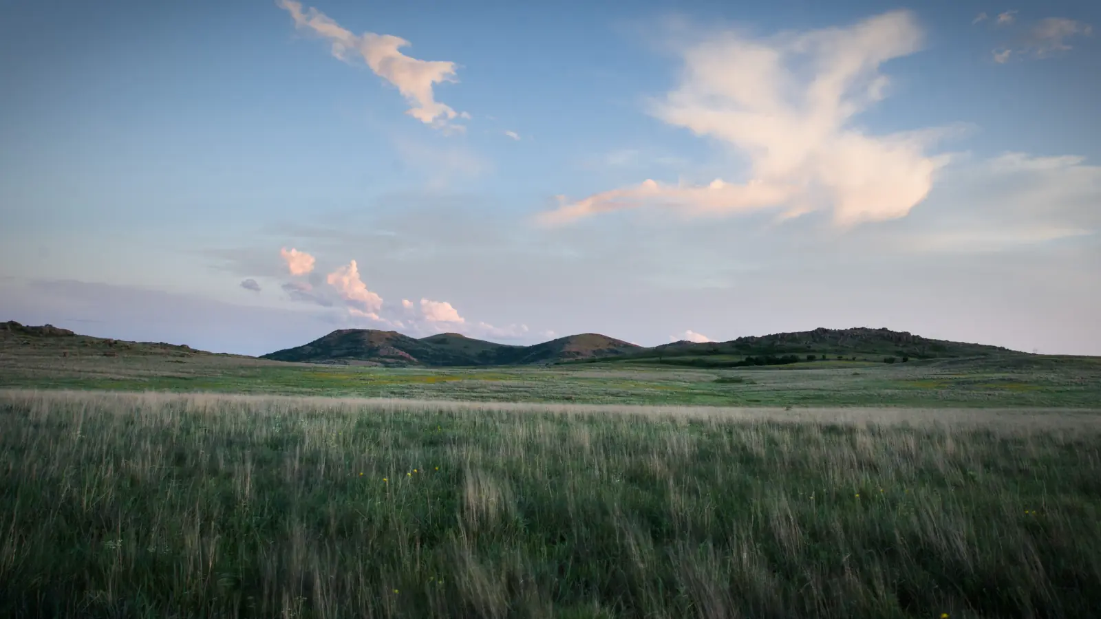 Rolling green hills under a soft pink and blue dusk sky across the tallgrass prairie of the Wichita Mountains, Oklahoma.
