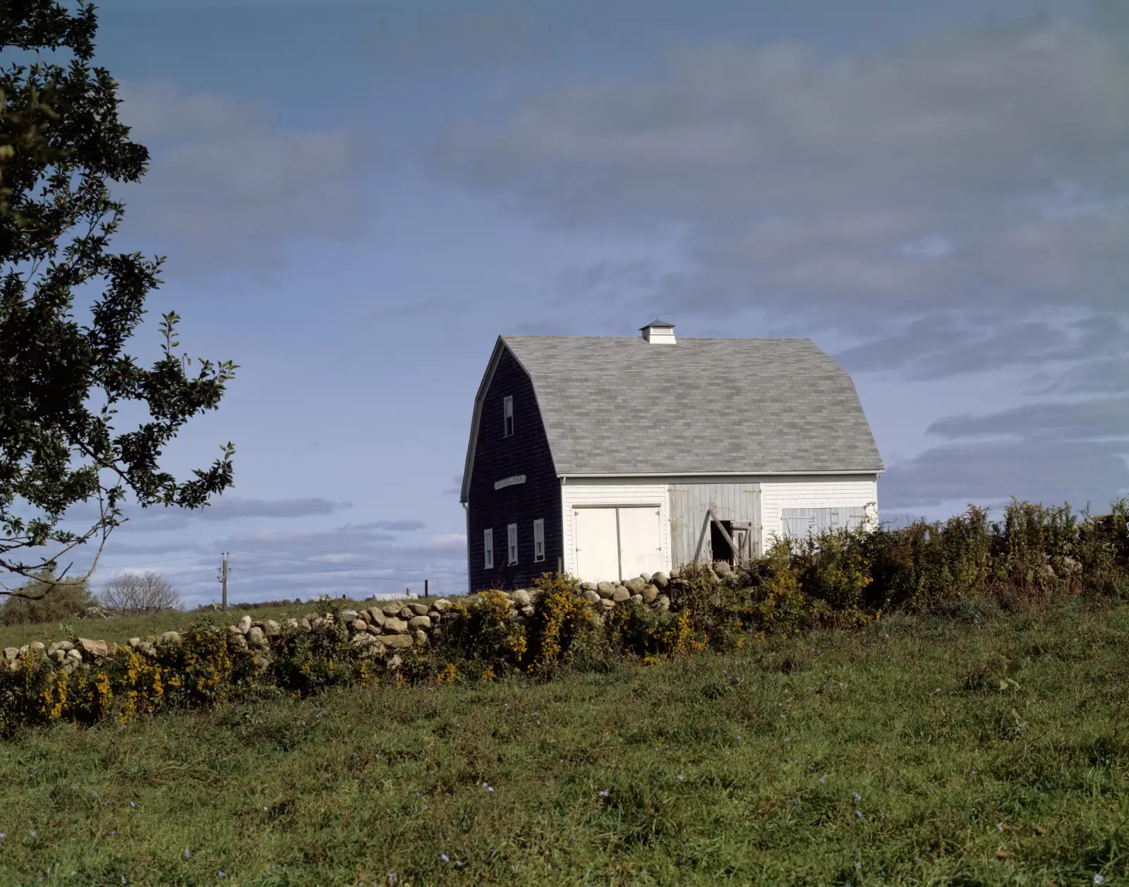 A white and dark-shingled barn with a gray roof stands behind a fieldstone wall and yellow wildflowers under a cloudy blue sky on Block Island, Rhode Island.