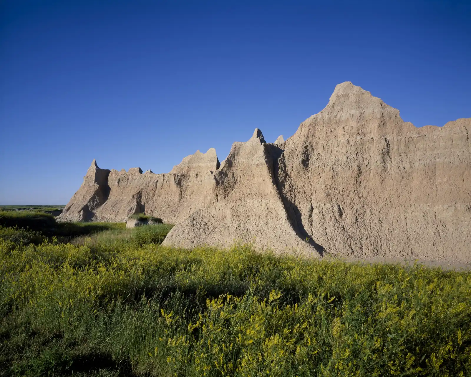 Sunlit eroded badlands ridges rise above yellow wildflowers under a deep blue sky in Badlands National Park, South Dakota.
