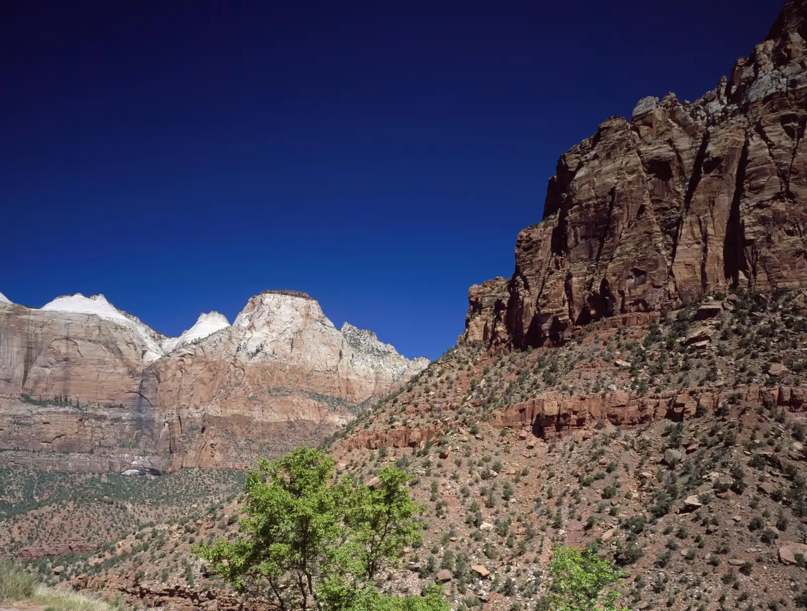 Sunlit red and white cliffs rise above a scrub-covered slope under a deep blue sky in Zion National Park, Utah.