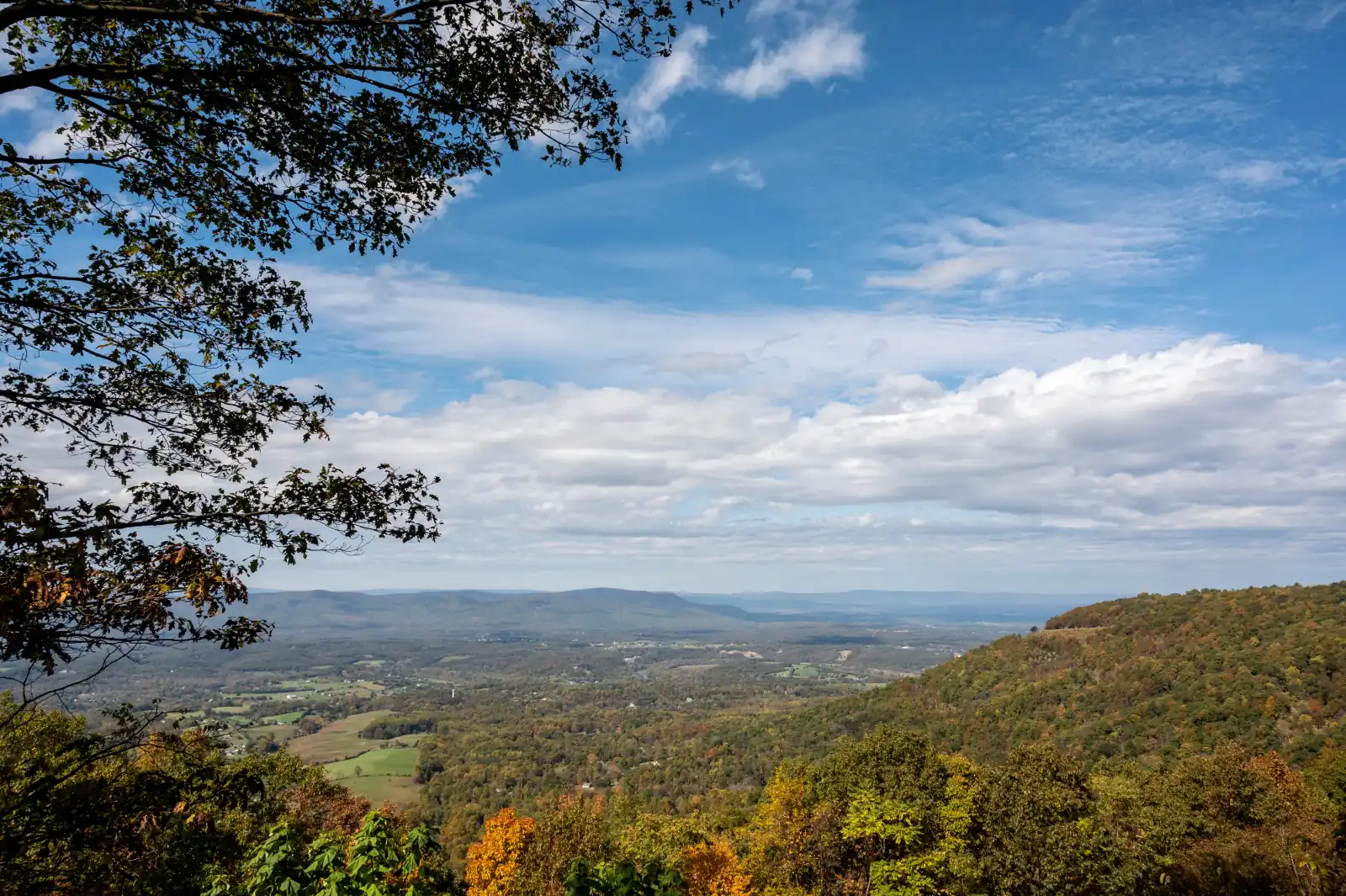 Autumn view from a Blue Ridge overlook across the Shenandoah Valley, with farm fields below and Massanutten Mountain under a blue sky with clouds.