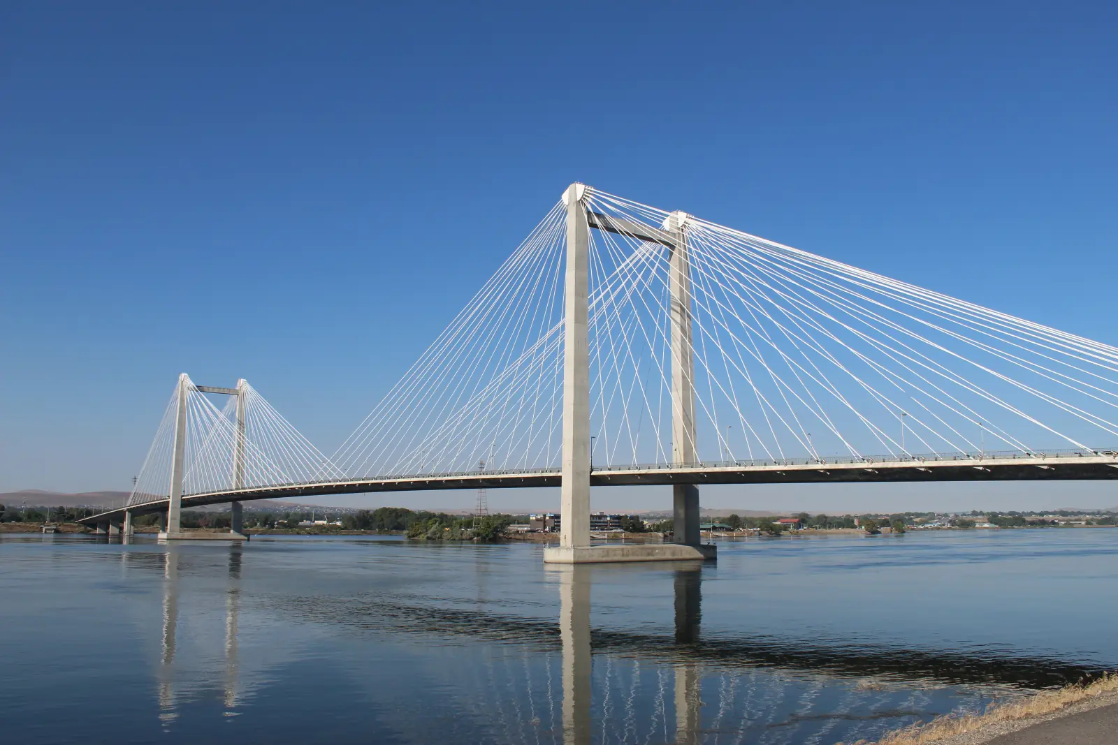 A cable-stayed bridge with pale concrete towers and white cables spans the Columbia River between Kennewick and Pasco under a clear blue sky.